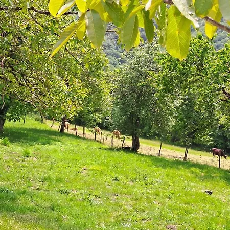 Maison Counord - Pour 8 Personnes