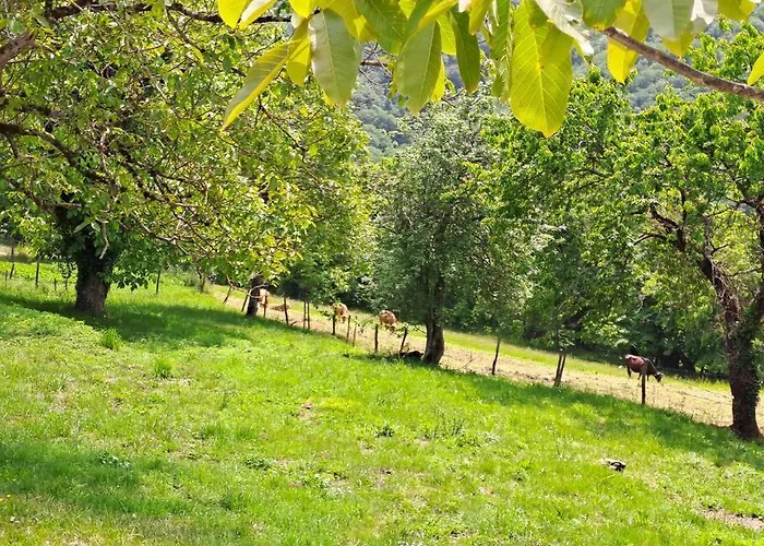 Maison Counord - Pour 8 Personnes